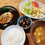 野菜あんかけ豆腐ハンバーグ＆マカロニサラダ
