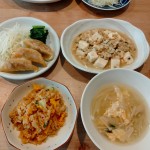 松花堂弁当🍱と豆腐とひき肉のうま煮