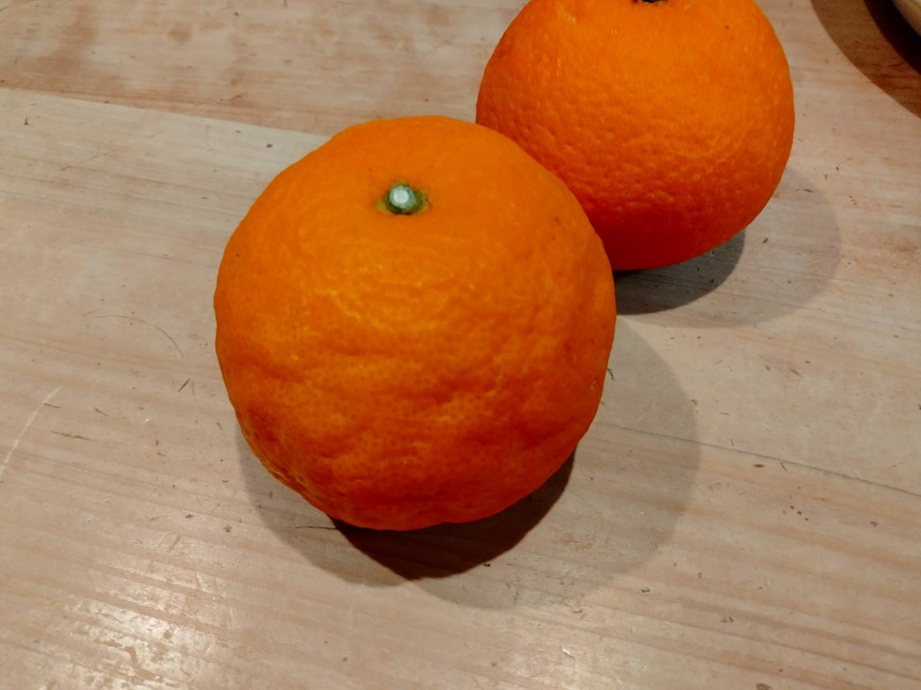IMG20250426205641