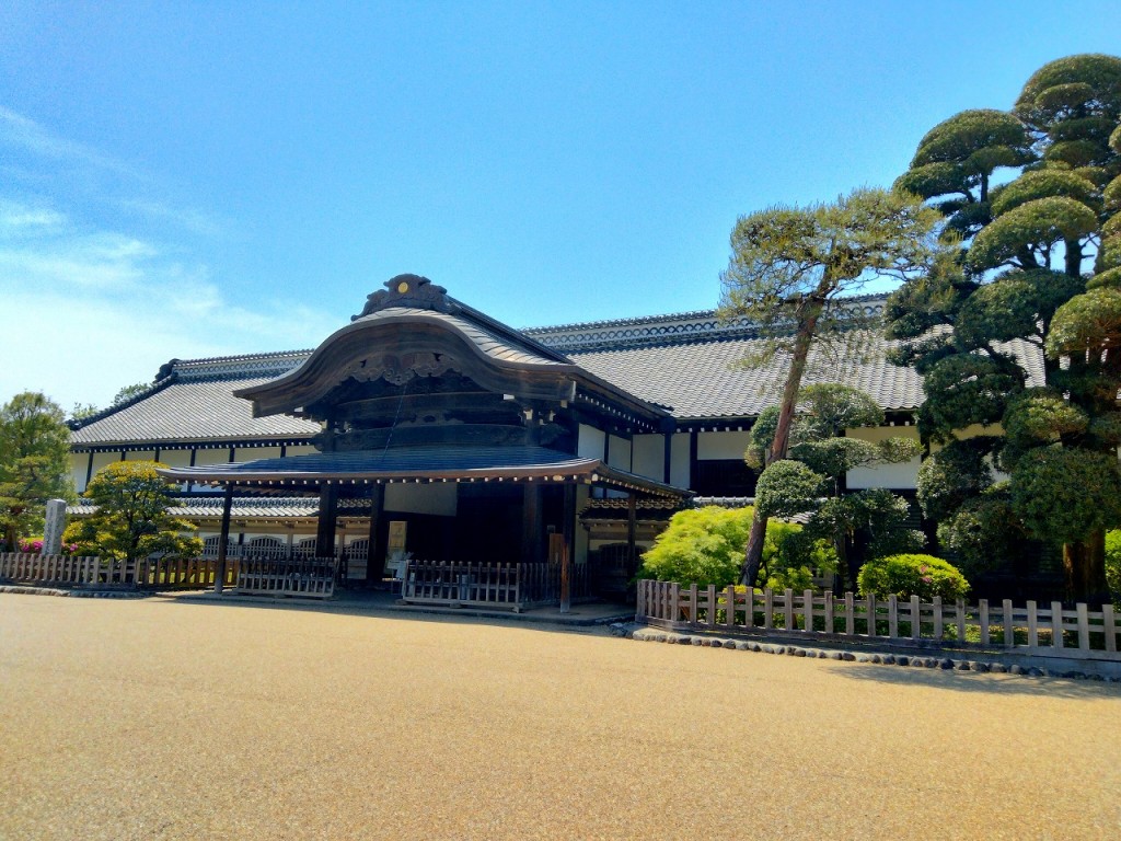IMG20250501123758