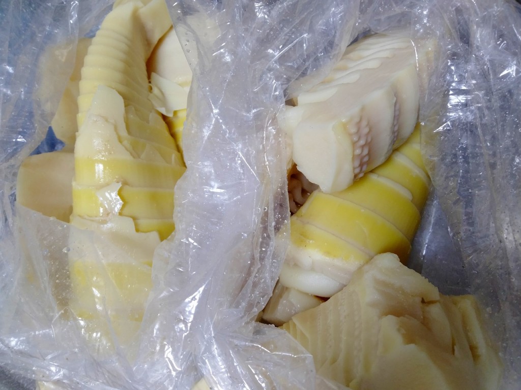 IMG20250505053402