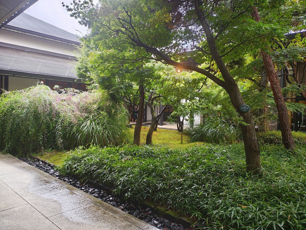 IMG_20251011_104010308_HDR