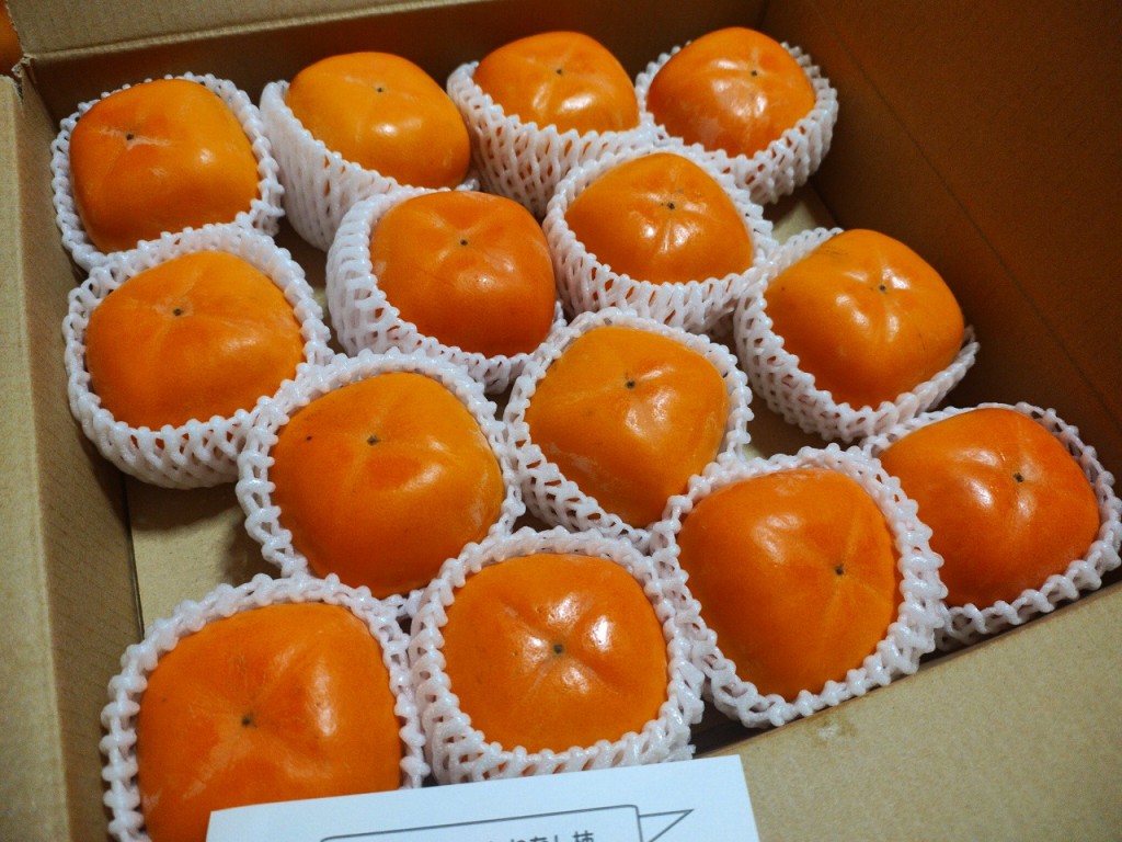 IMG_20251021_180449880