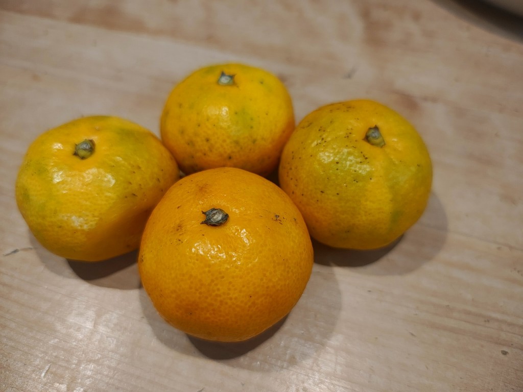 IMG_20251030_201056333_HDR