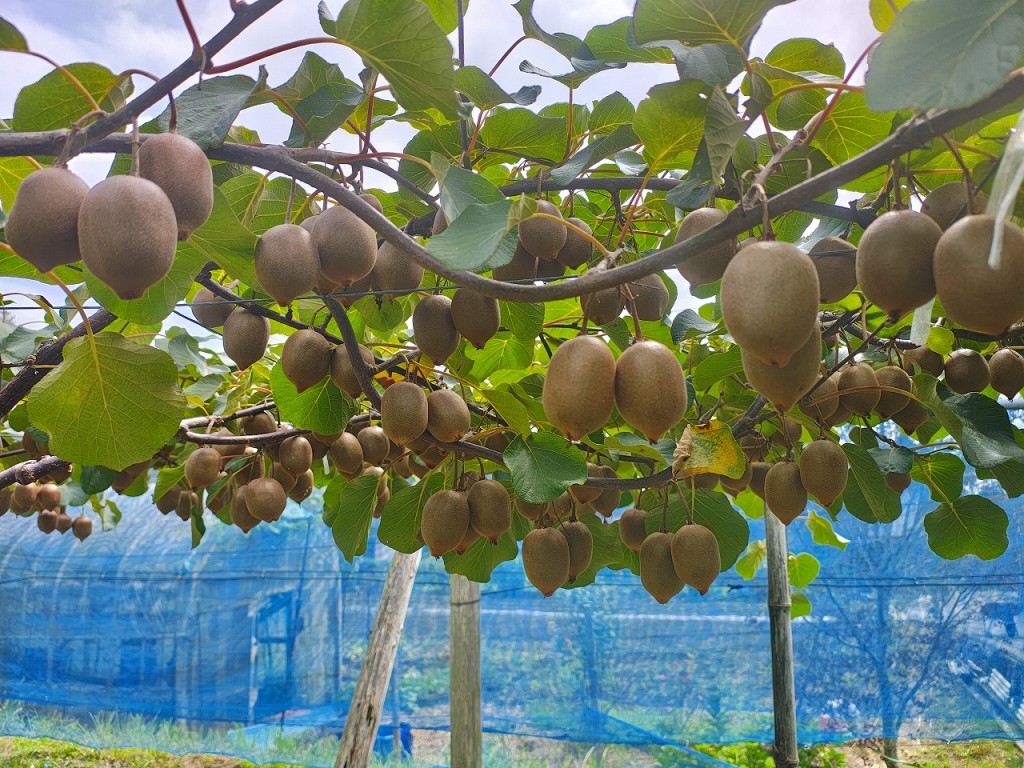 s-IMG_20250915_103850502_HDR