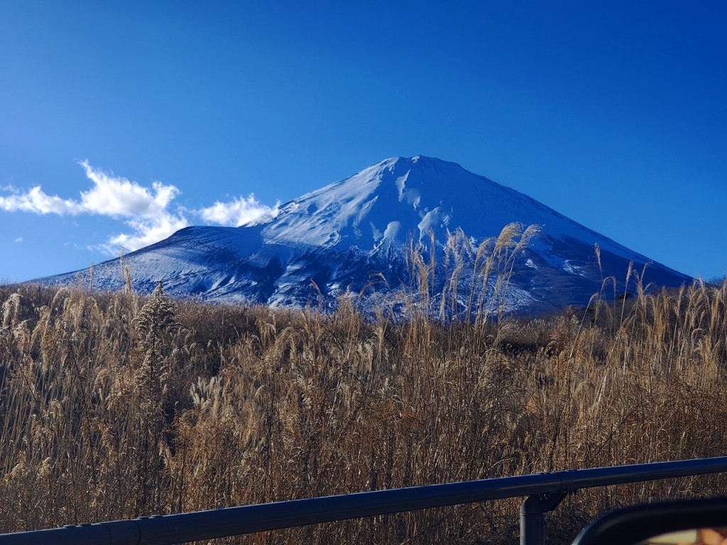 IMG_20260103_144831996_HDR