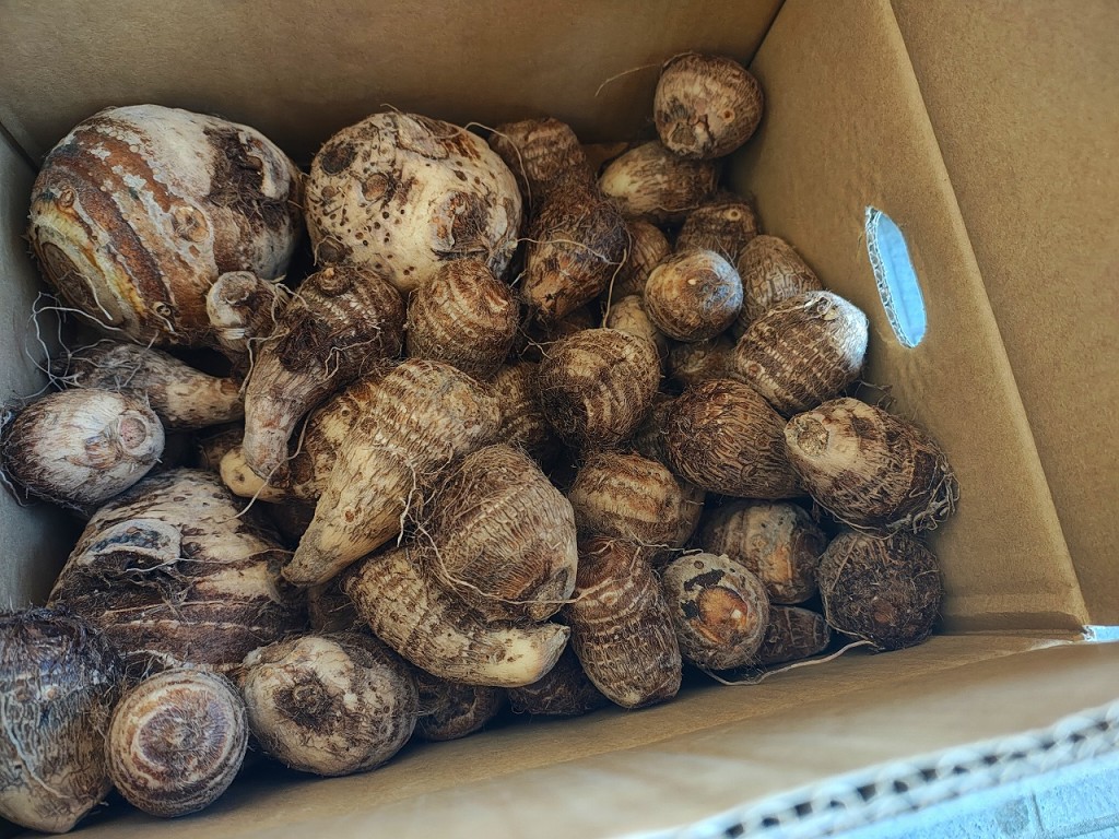 IMG_20260110_090531328_HDR