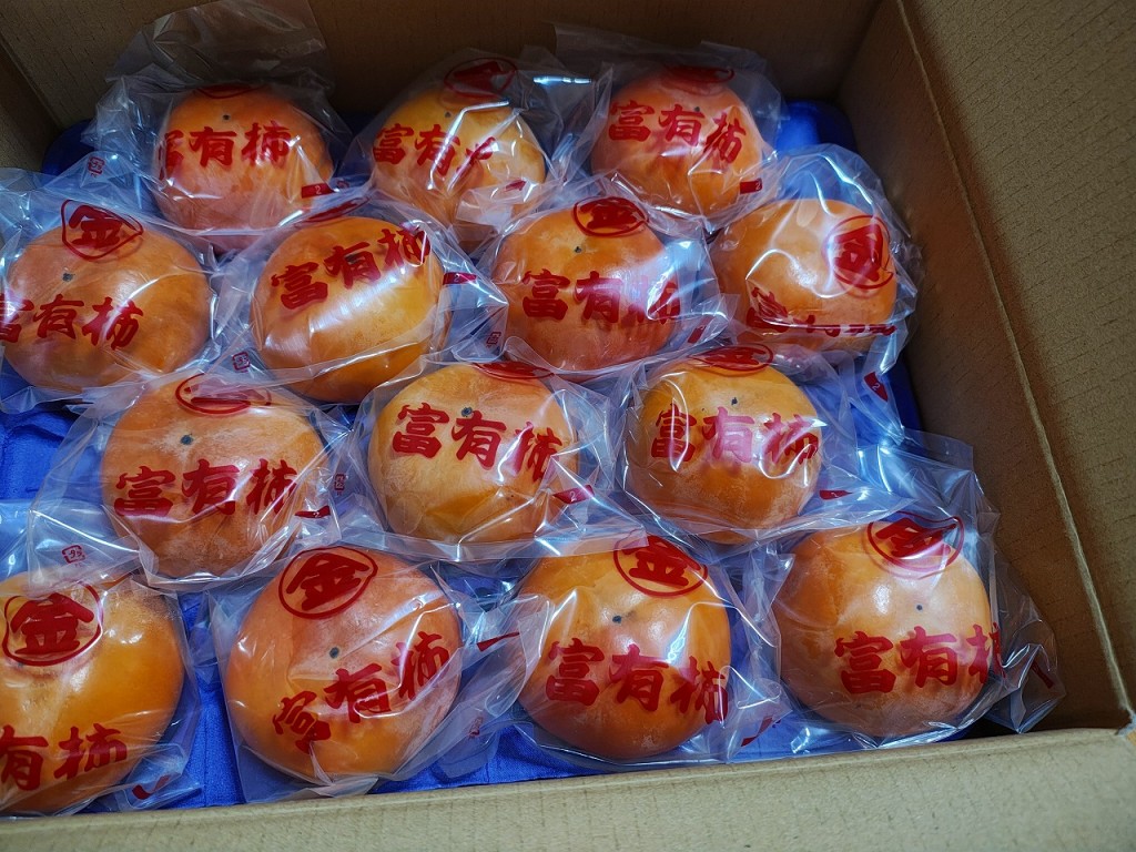 IMG_20260119_182806695_HDR