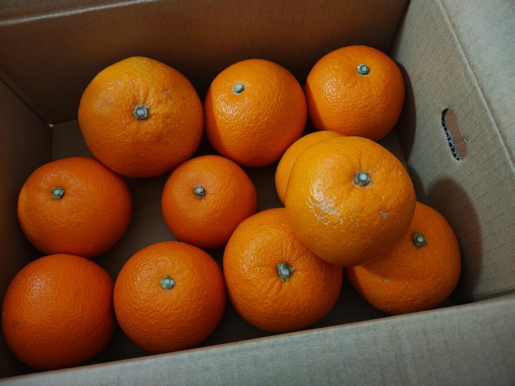 IMG_20260211_121643723_HDR