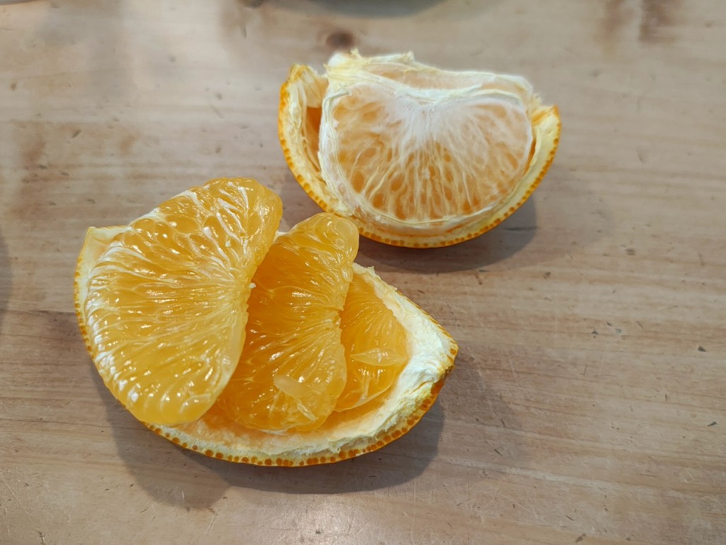 IMG_20260215_080857494_HDR