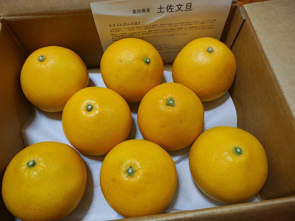 IMG_20260217_051035764_HDR