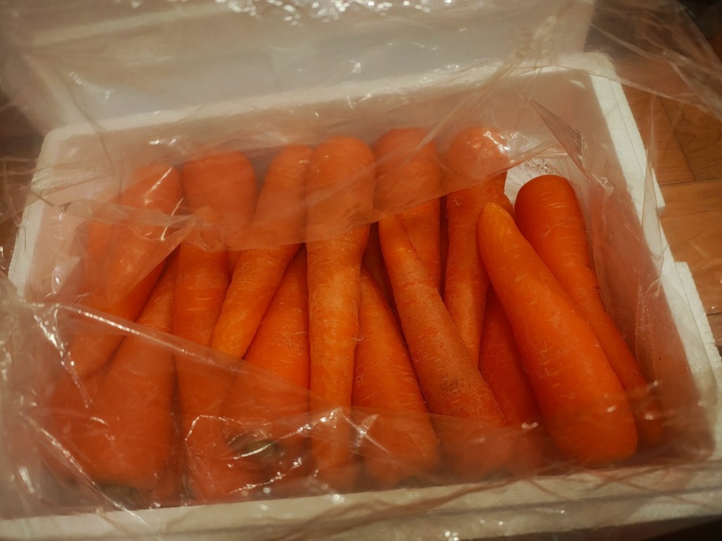 IMG_20260223_054449800_HDR