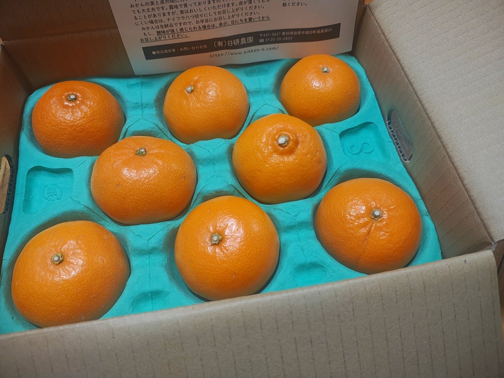 IMG_20260311_060426492_HDR