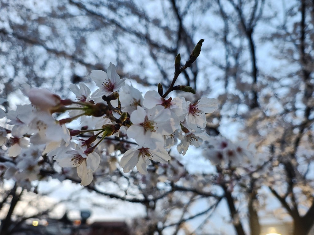 IMG_20260330_181741796_HDR