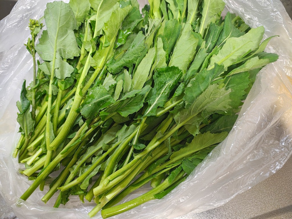 IMG_20260405_063144250_HDR