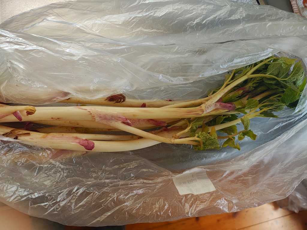 IMG_20260405_090500785_HDR