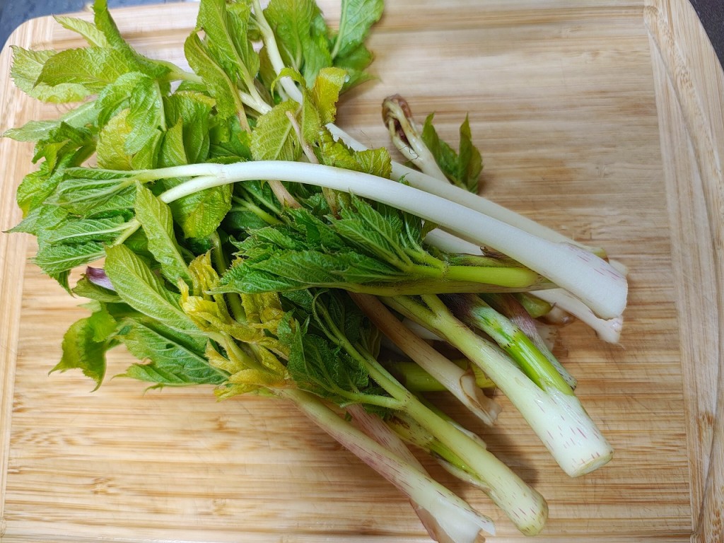 IMG_20260405_192301582_HDR