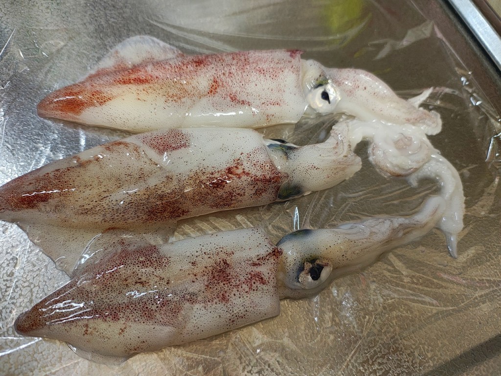 IMG_20260415_183112398_HDR