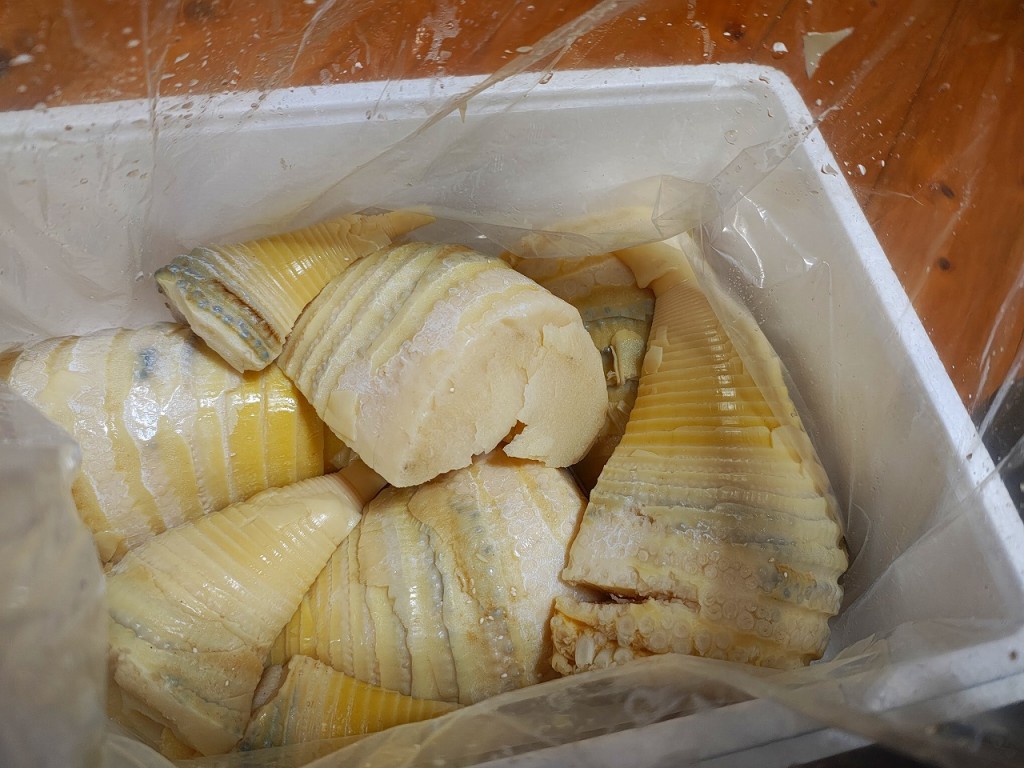 IMG_20260416_183352922_HDR