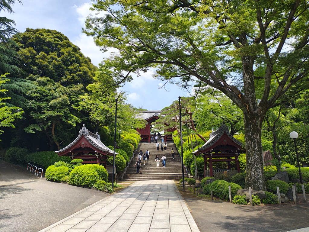 IMG_20260613_115006424_HDR
