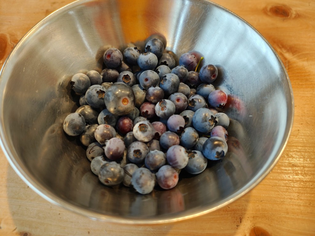 IMG_20260614_163502788_HDR
