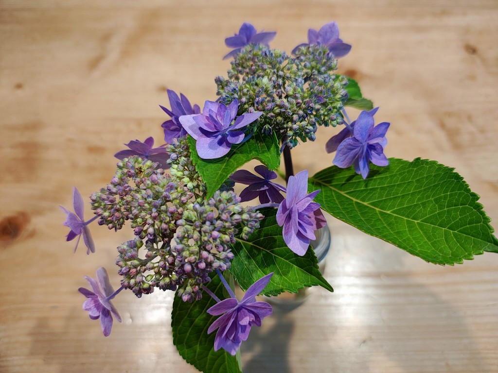 IMG_20260615_184913901_HDR